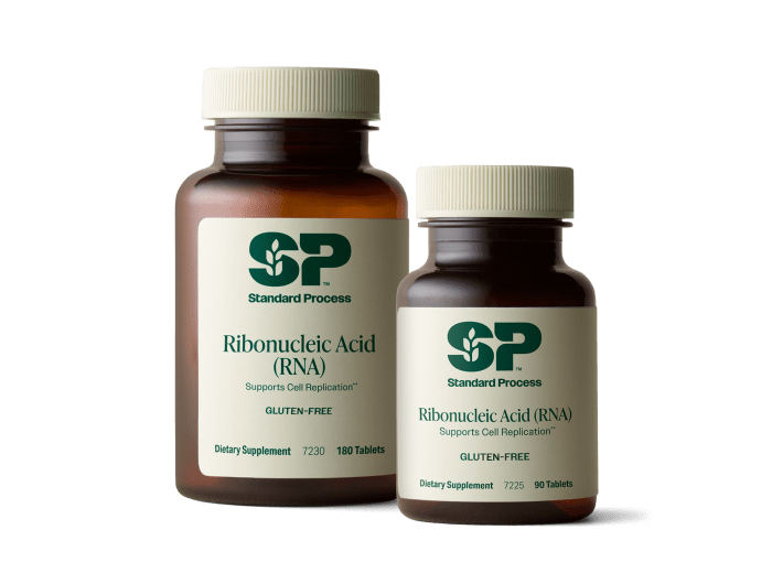 Ribonucleic Acid (RNA)